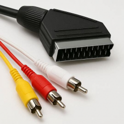 изображение_2026-03-10_194347621