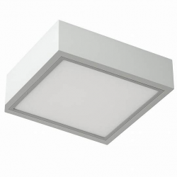 изображение_2026-04-08_211620642