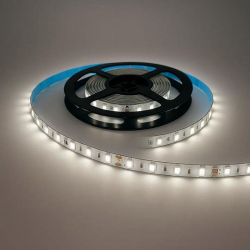 изображение_2026-04-08_212342837